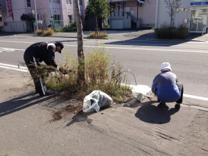 草取り3